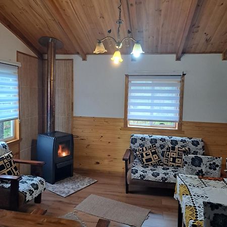 Cabanas Robinson Puerto Puyuguapi Exteriör bild